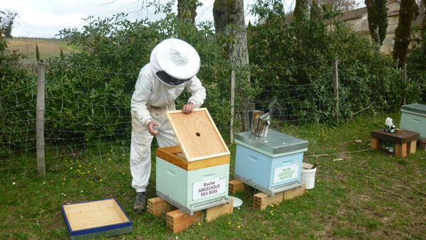 La ruche Angélique des bois