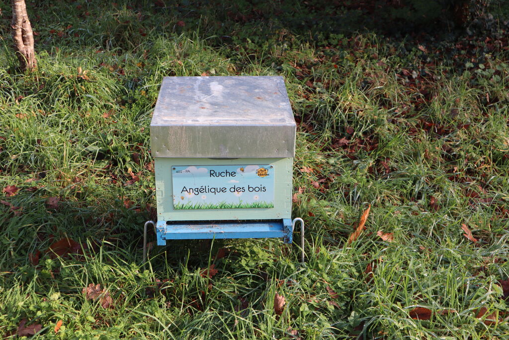 La ruche Angélique des bois