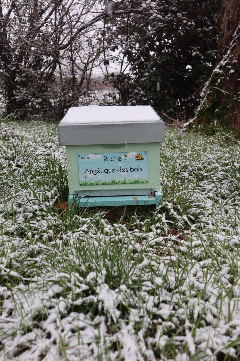 La ruche Angélique des bois