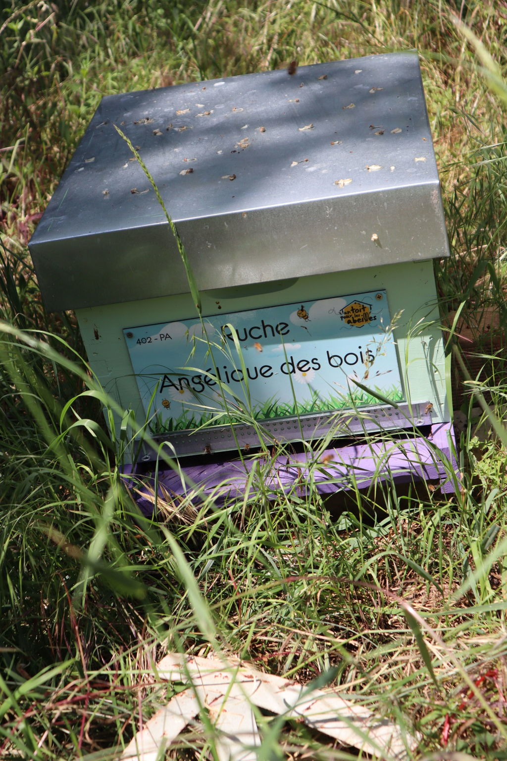 La ruche Angélique des bois
