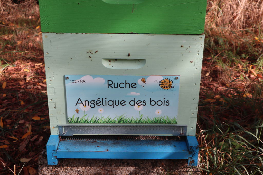 La ruche Angélique des bois