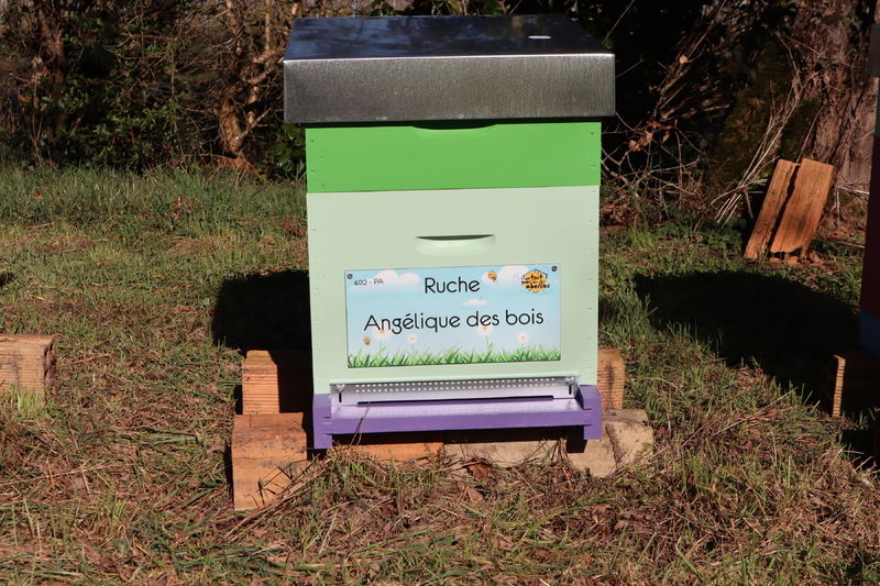 La ruche Angélique des bois