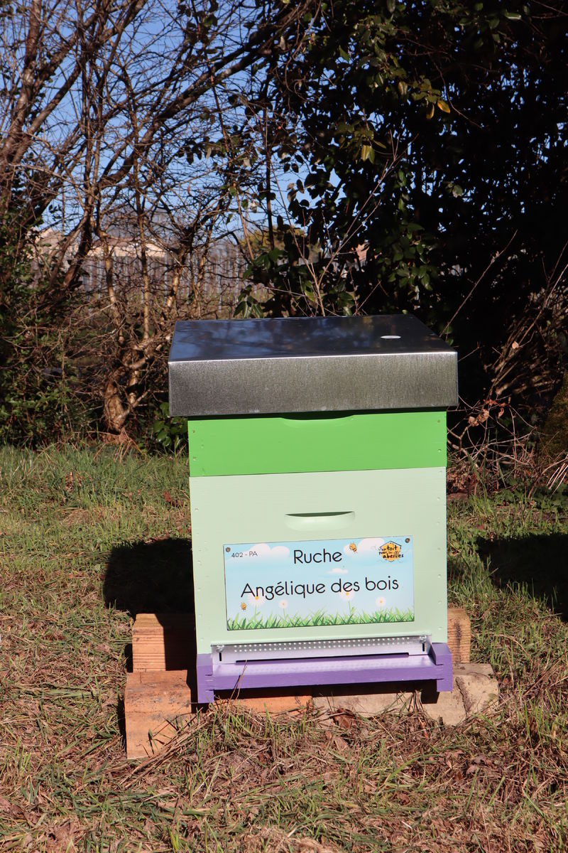 La ruche Angélique des bois