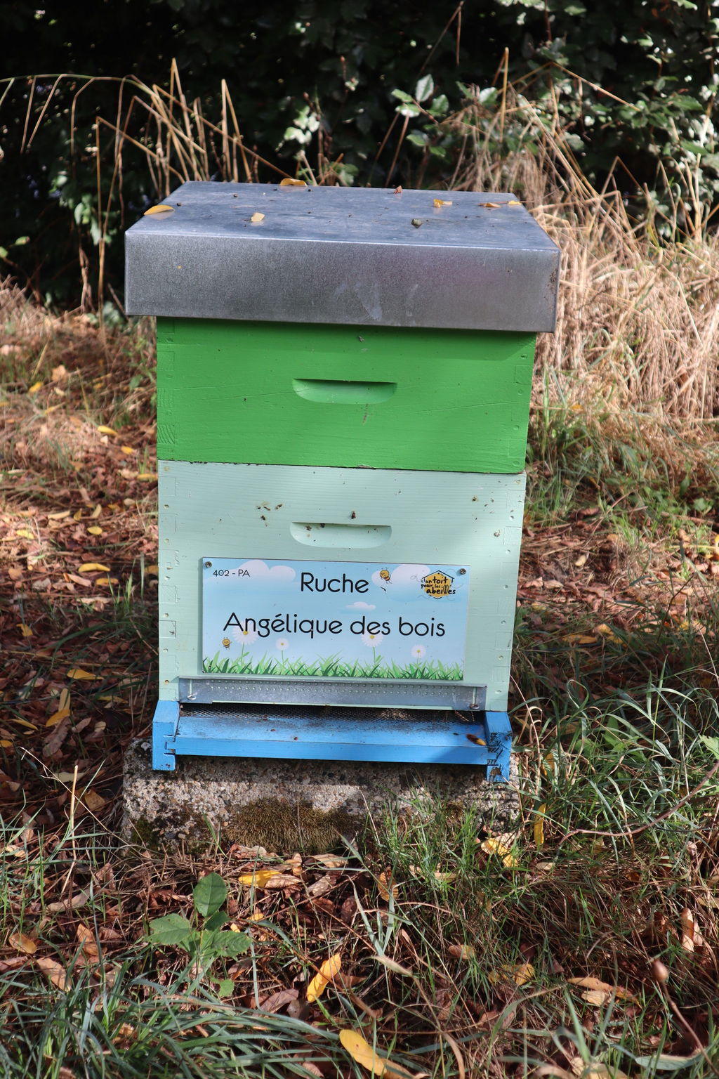 La ruche Angélique des bois