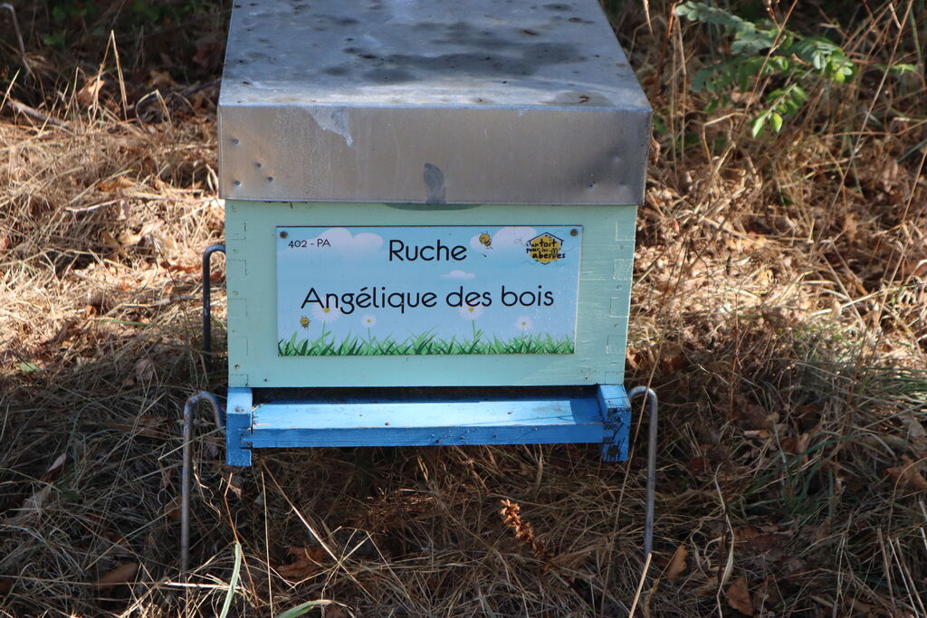 La ruche Angélique des bois