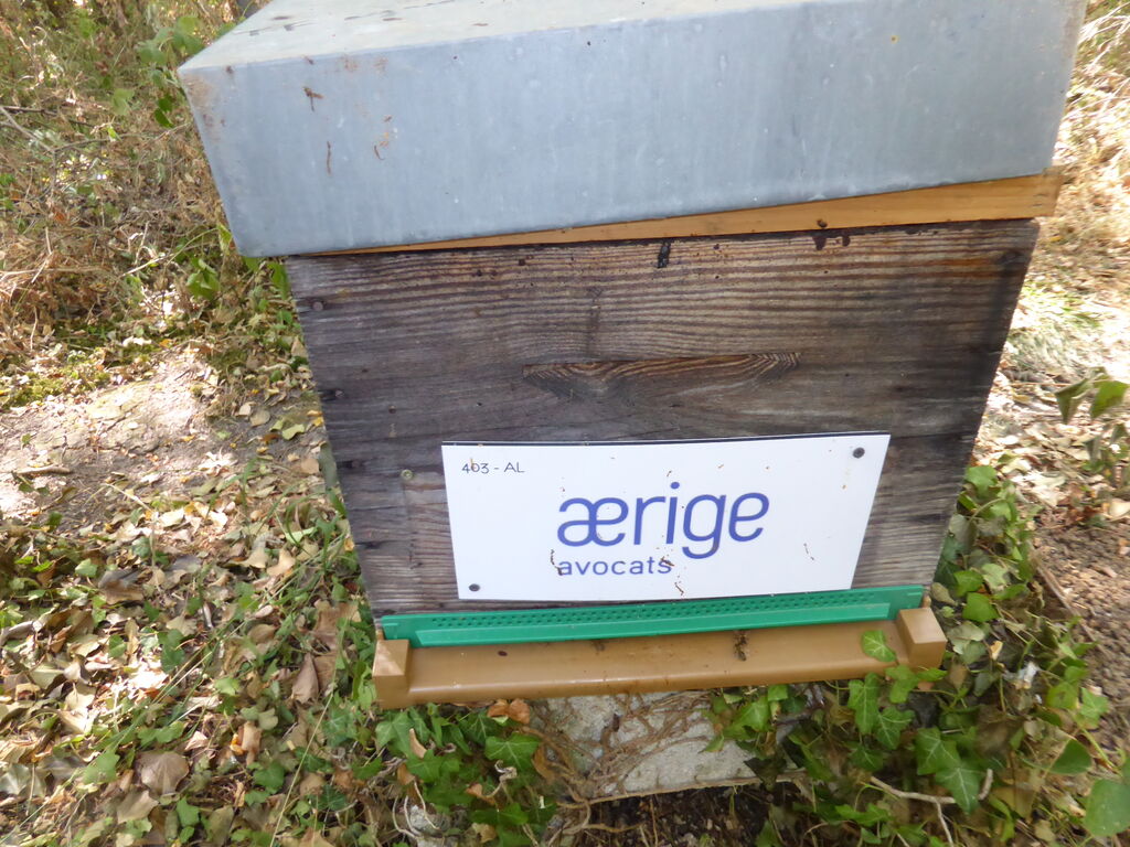 La ruche AERIGE AVOCATS