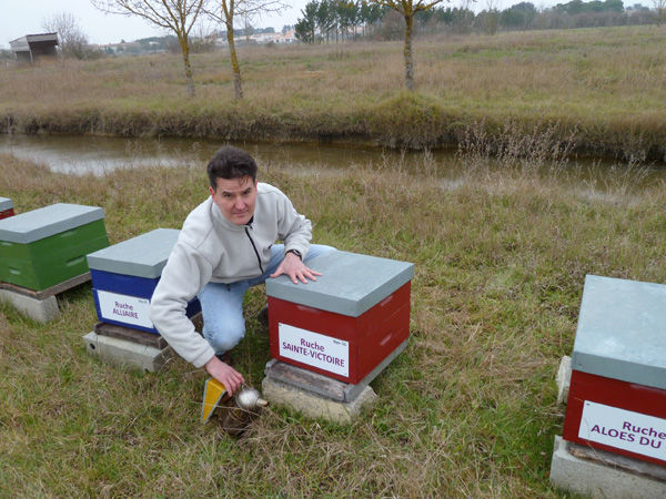 La ruche Sainte-victoire
