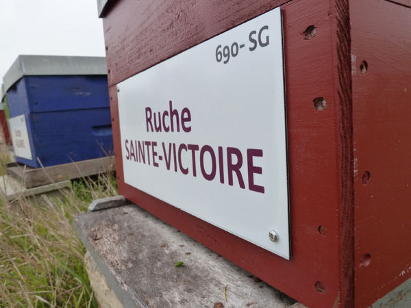 La ruche Sainte-victoire