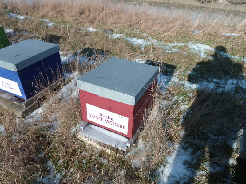 La ruche Sainte-victoire