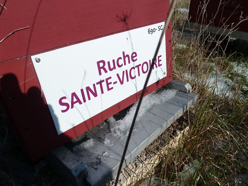 La ruche Sainte-victoire