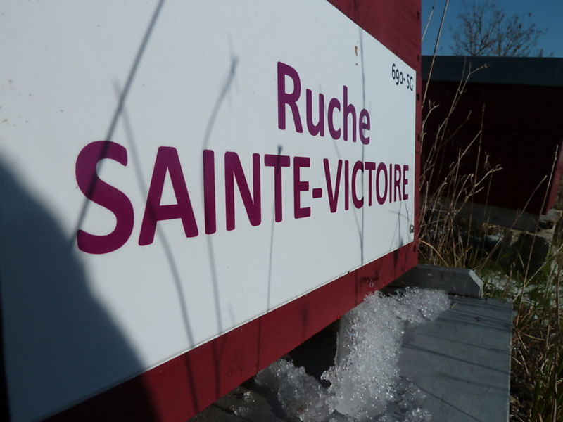 La ruche Sainte-victoire