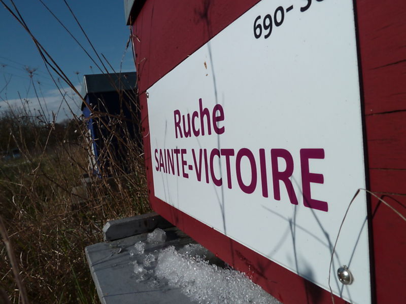 La ruche Sainte-victoire