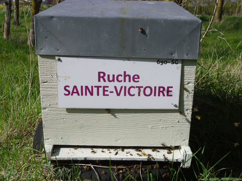 La ruche Sainte-victoire