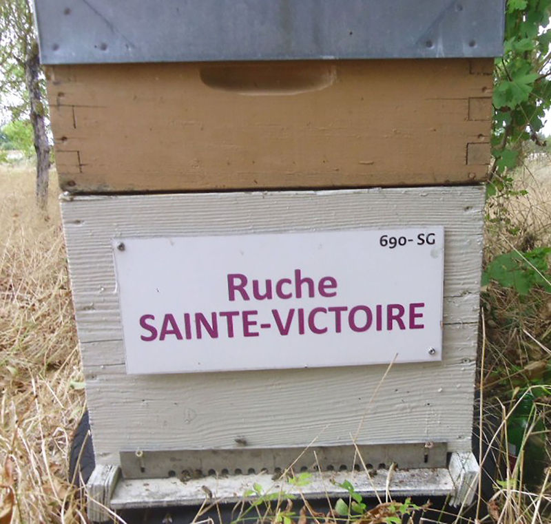 La ruche Sainte-victoire