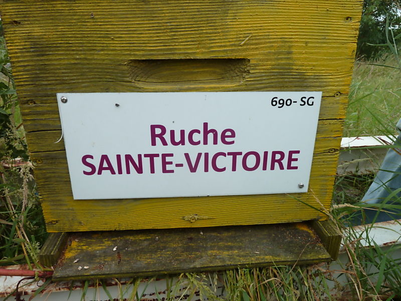 La ruche Sainte-victoire