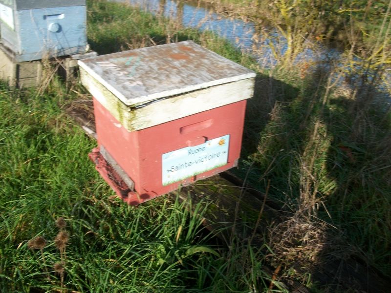 La ruche Sainte-victoire