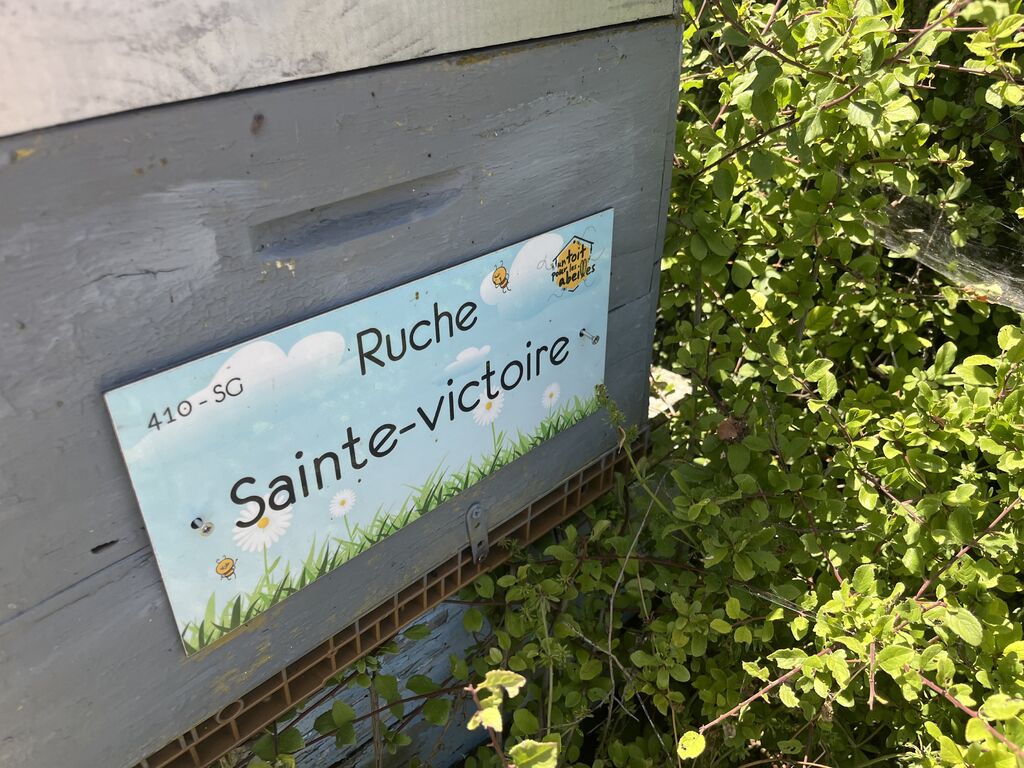 La ruche Sainte-victoire