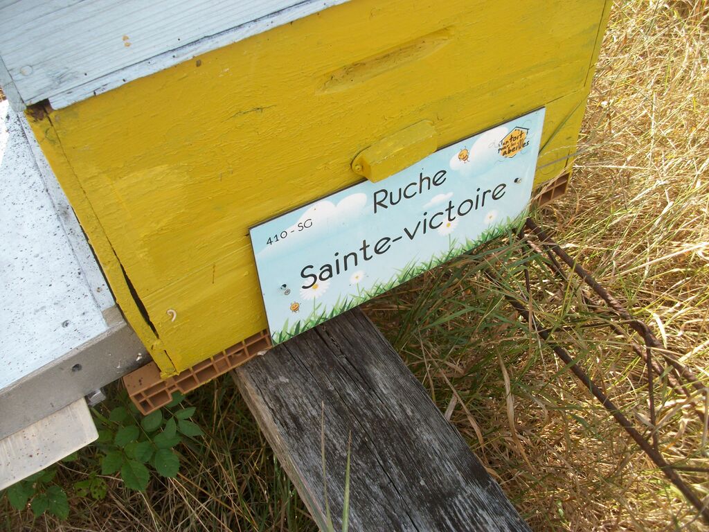 La ruche Sainte-victoire