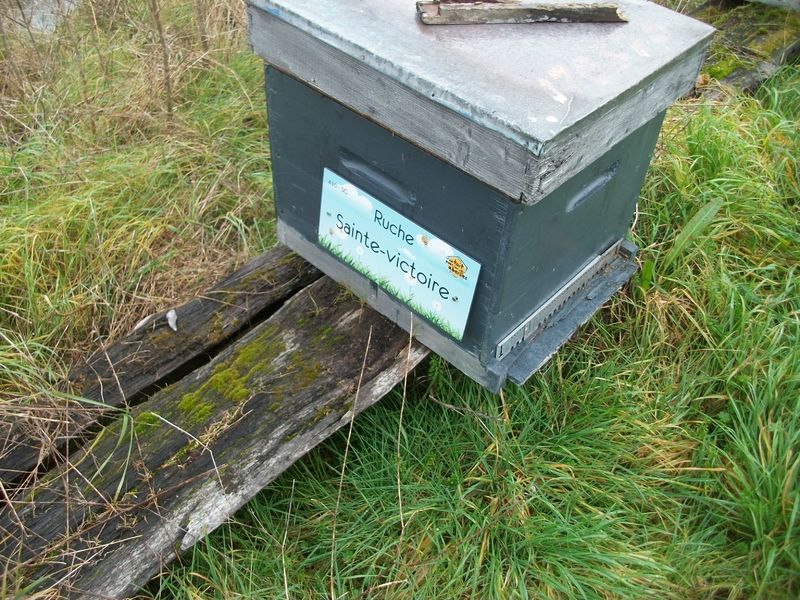 La ruche Sainte-victoire