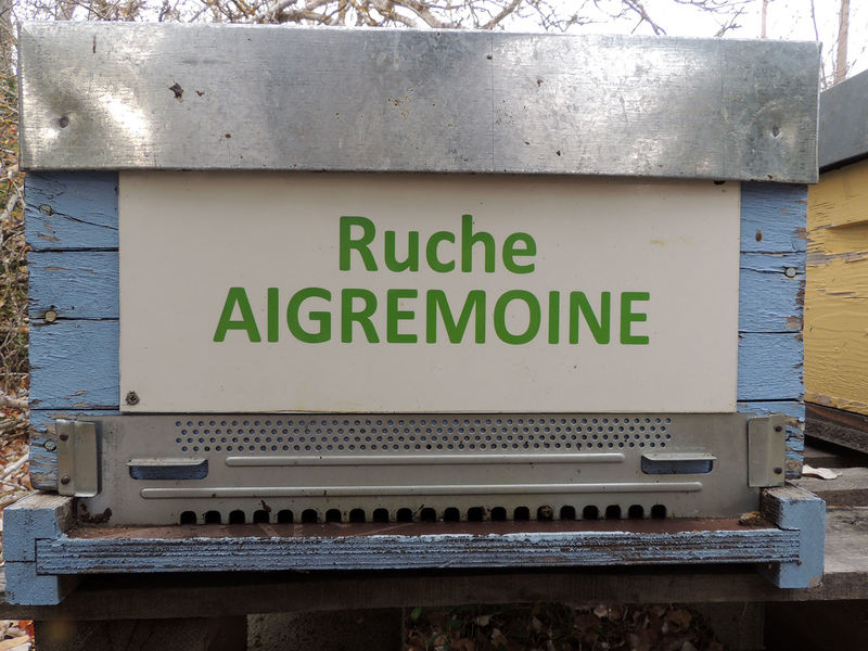 La ruche Aigremoine