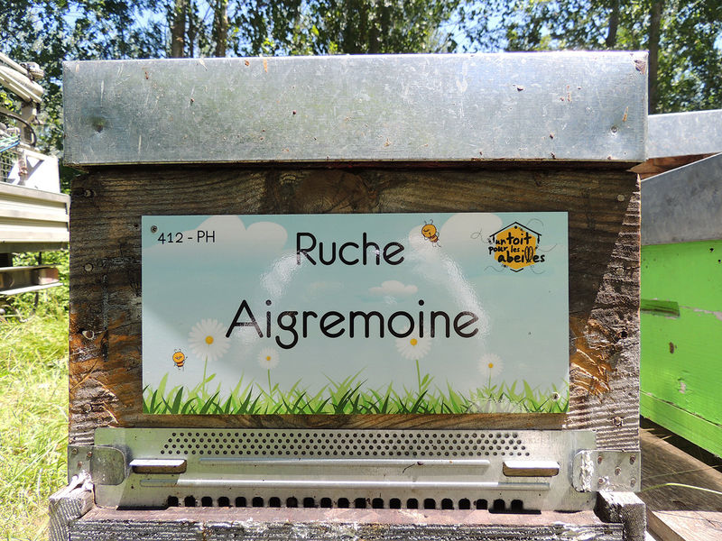 La ruche Aigremoine