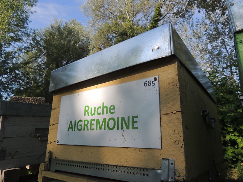 La ruche Aigremoine