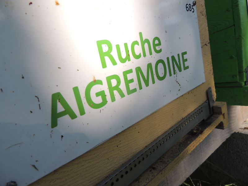 La ruche Aigremoine