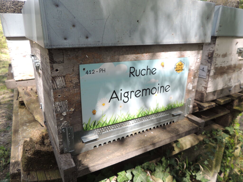 La ruche Aigremoine