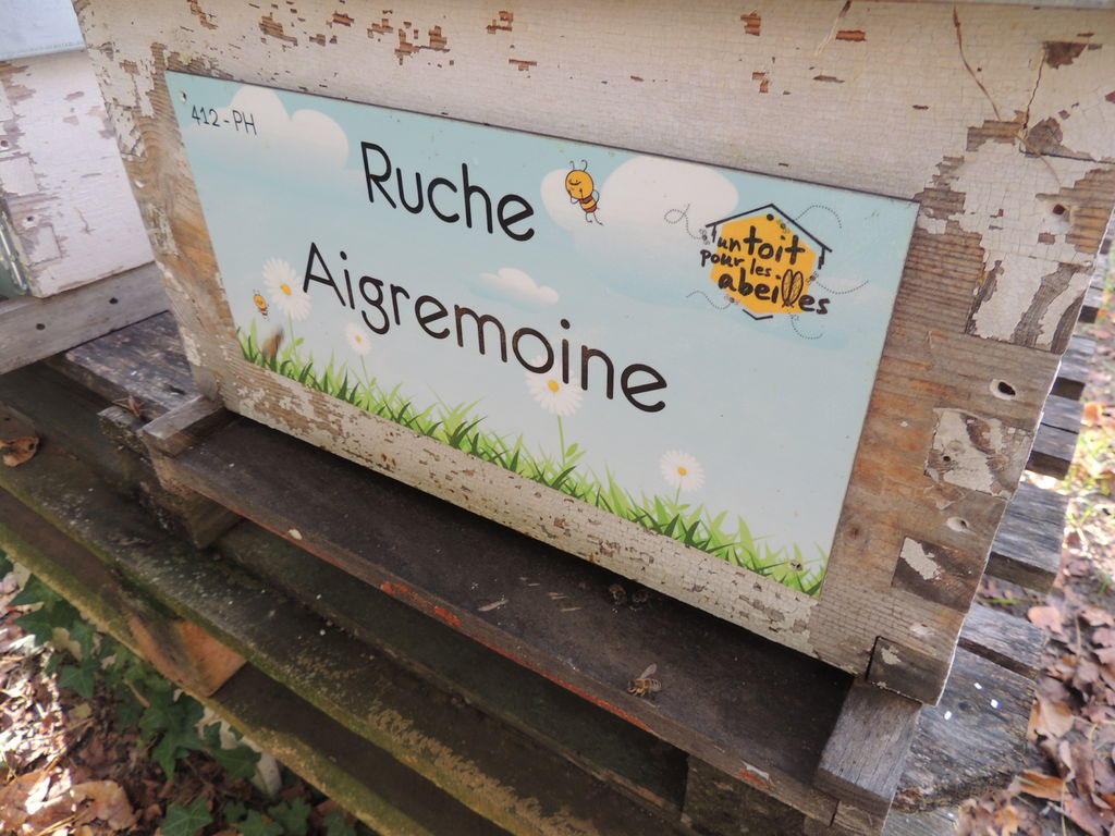 La ruche Aigremoine