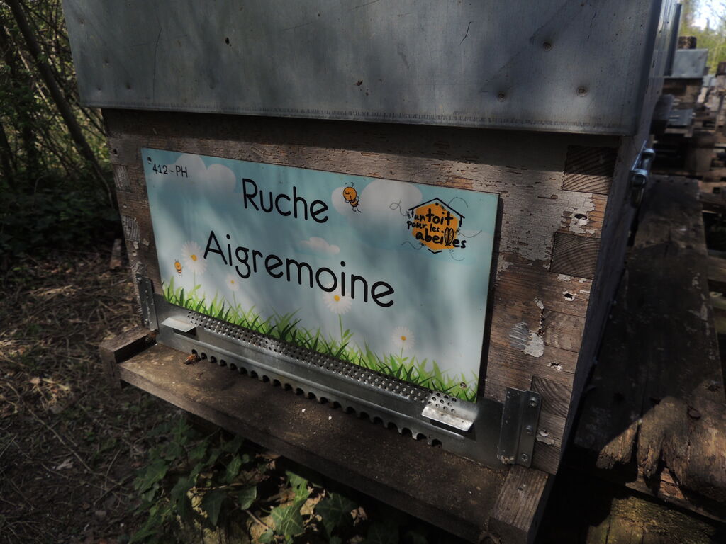 La ruche Aigremoine