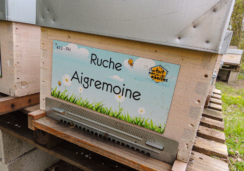 La ruche Aigremoine