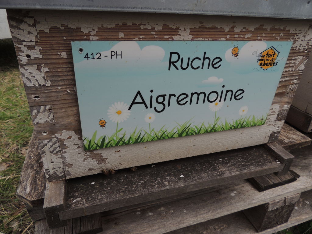 La ruche Aigremoine