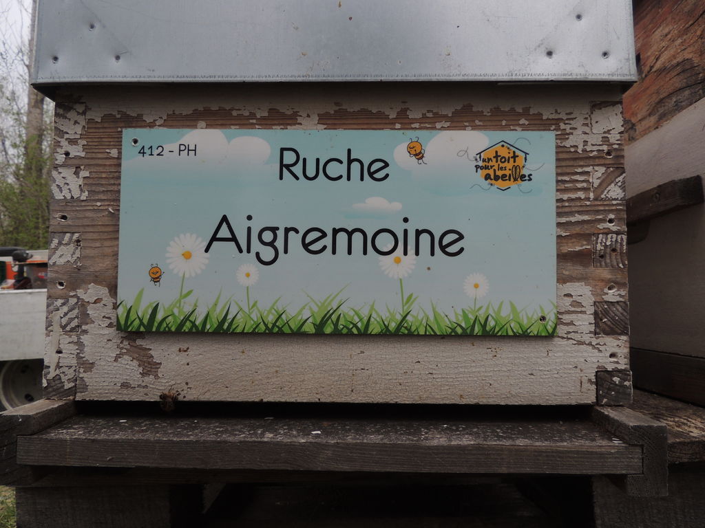 La ruche
