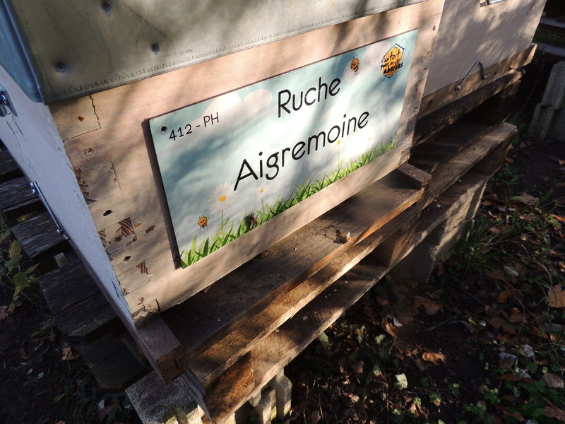La ruche Aigremoine