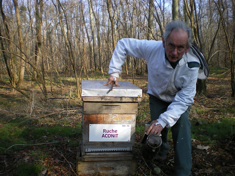 La ruche Aconit