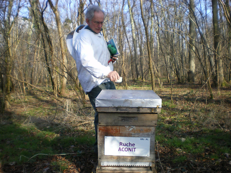 La ruche Aconit
