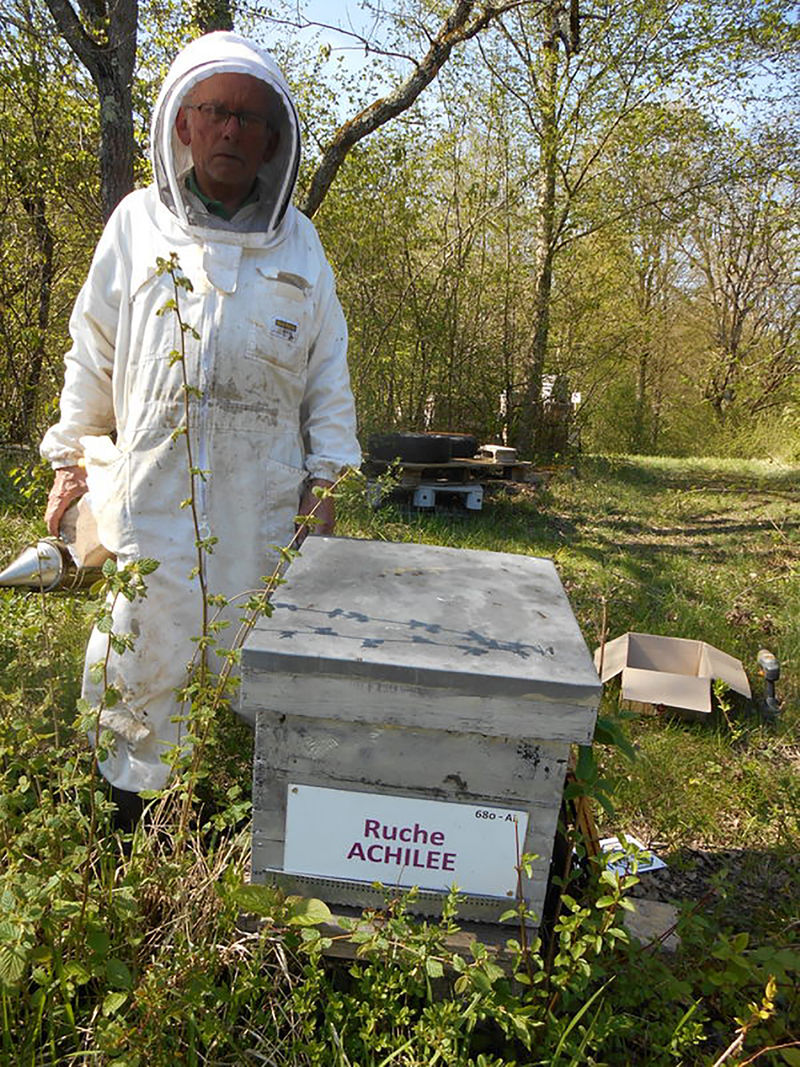 La ruche Achillée