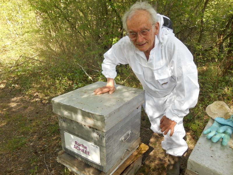 La ruche Achillée