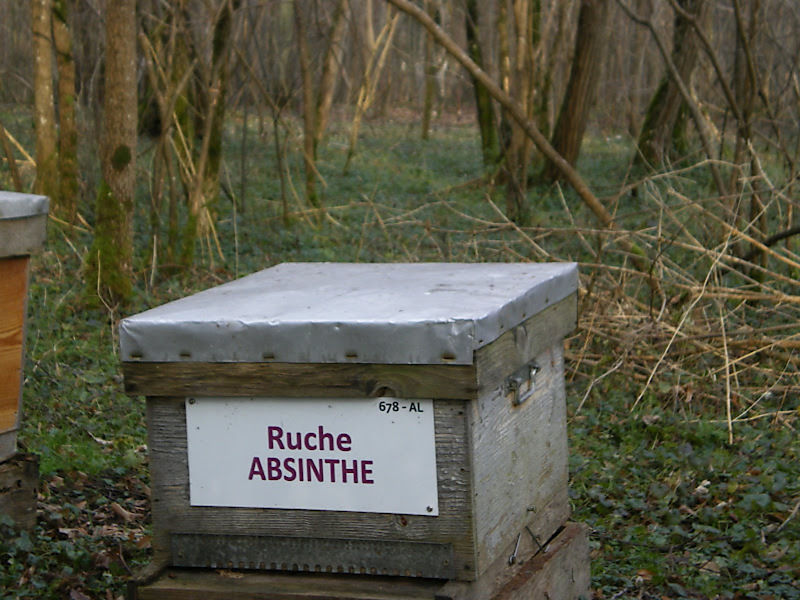 La ruche Absinthe