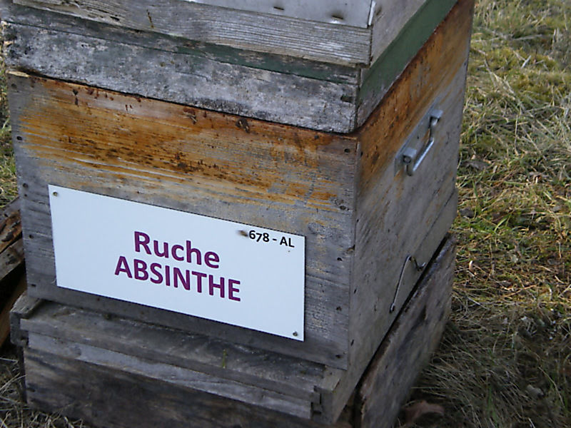 La ruche Absinthe