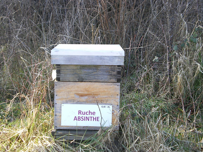La ruche Absinthe