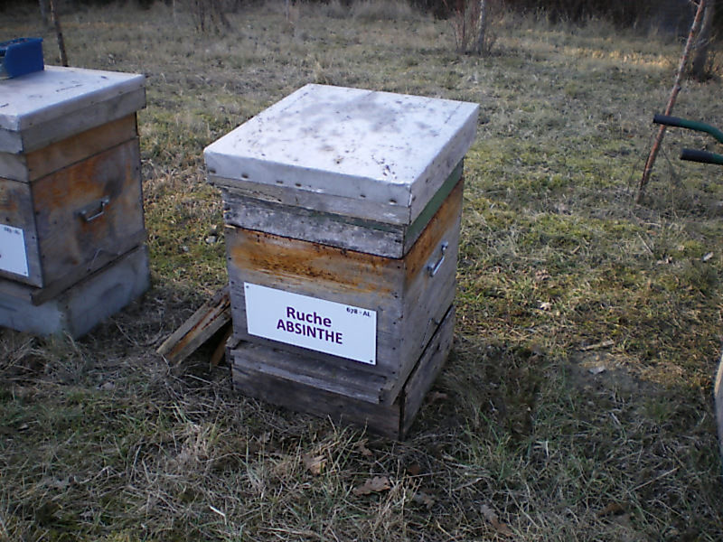 La ruche Absinthe