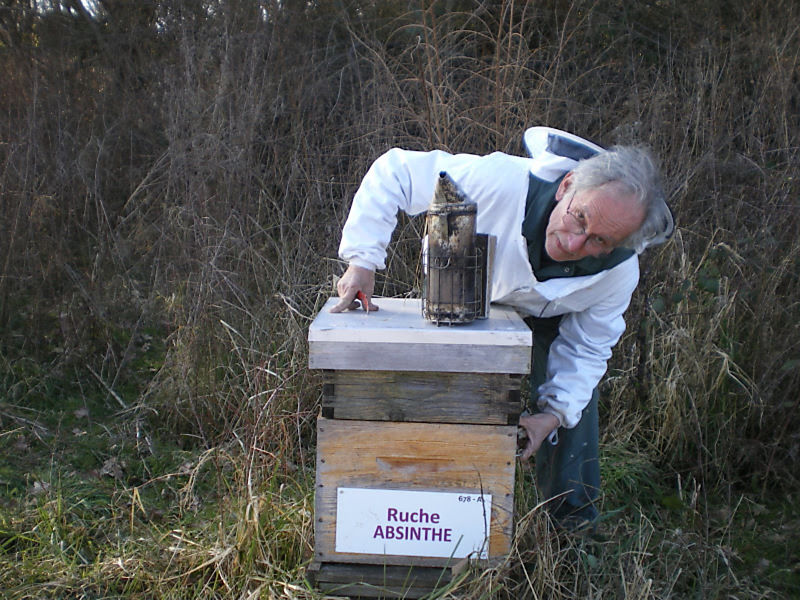 La ruche Absinthe