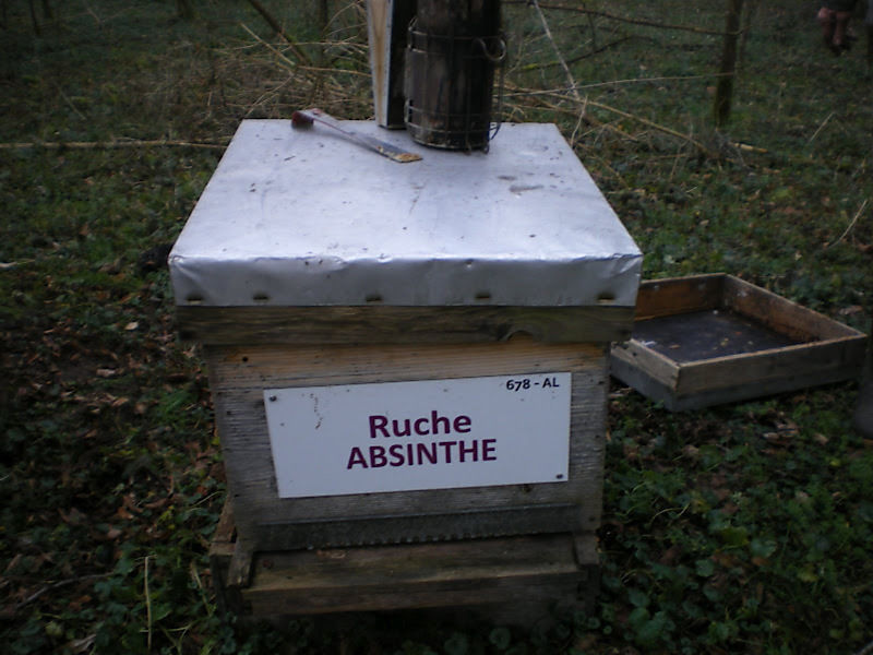 La ruche Absinthe