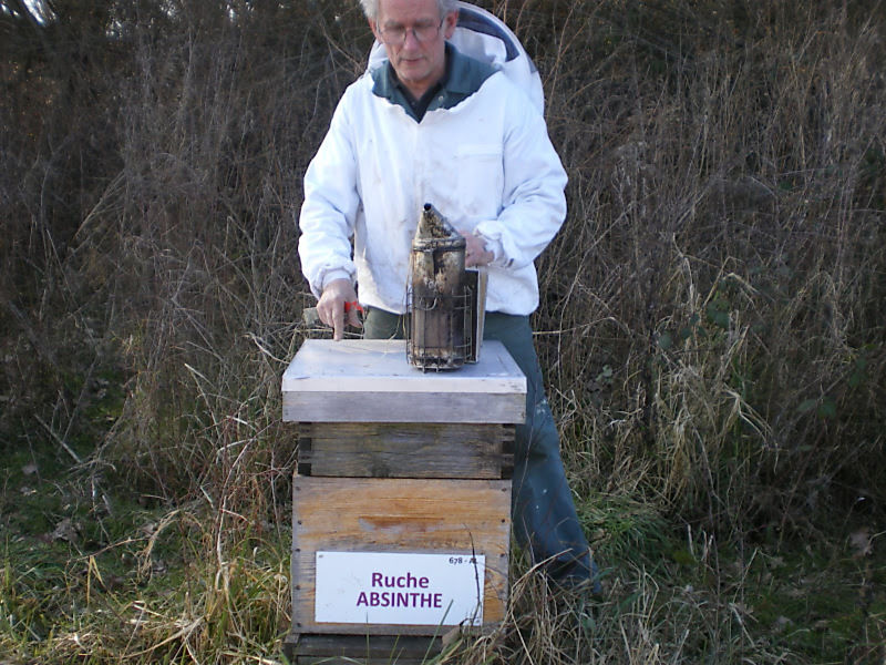 La ruche Absinthe