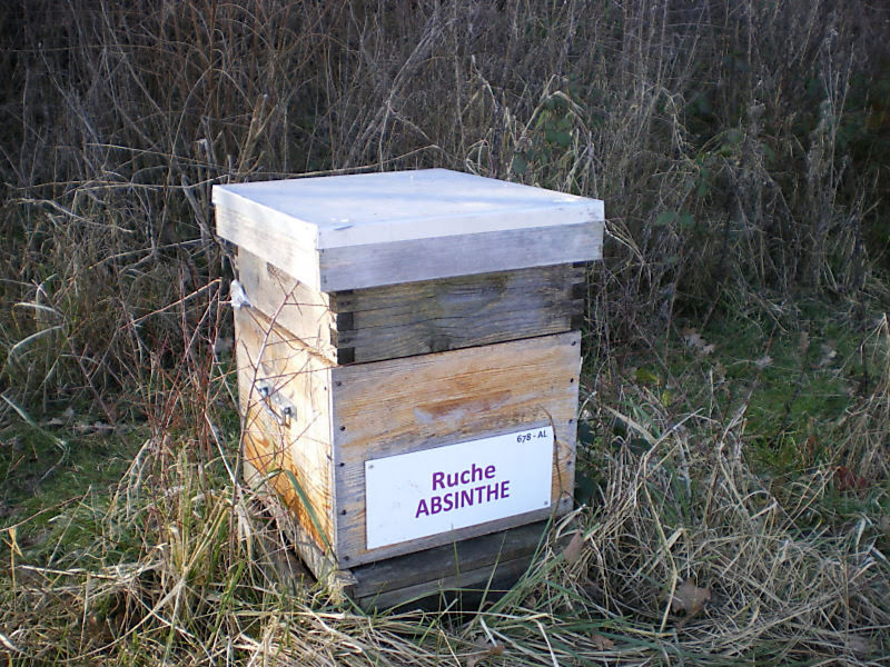 La ruche Absinthe