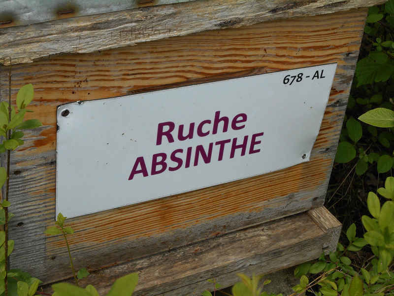 La ruche Absinthe
