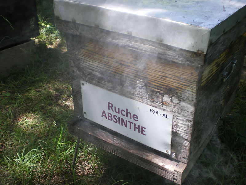 La ruche Absinthe