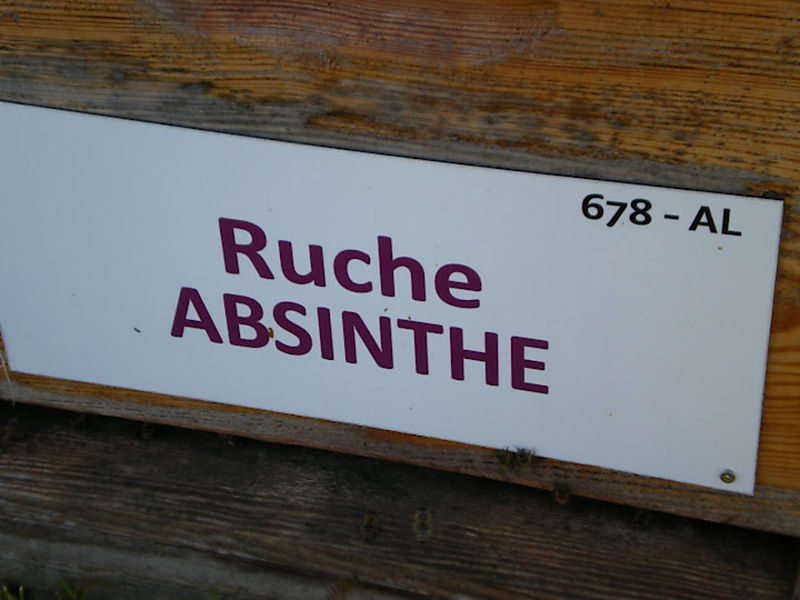 La ruche Absinthe