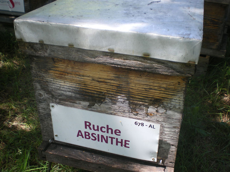 La ruche Absinthe